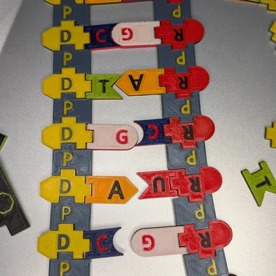 Bộ Tile Trưng Bày DNA / RNA