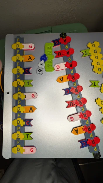 Bộ Tile Trưng Bày DNA / RNA - Image 5