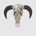 Đầu lâu bò tót, đầu bò (Bull Skull Head, Cattle Head) - Thumbnail 1