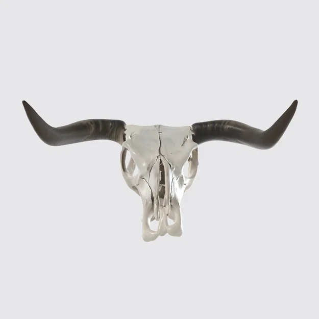 Đầu lâu bò tót, đầu bò (Bull Skull Head, Cattle Head) - Image 2