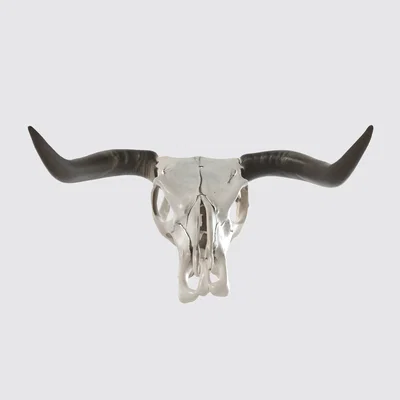Đầu lâu bò tót, đầu bò (Bull Skull Head, Cattle Head)