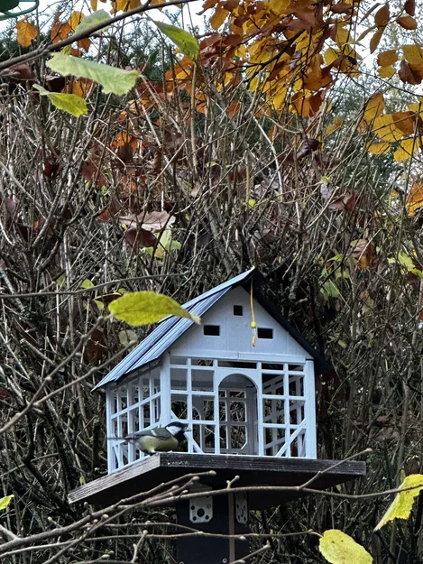 Nhà cho chim phong cách Fachwerk Schleswig-Holstein (Bird Feeder Half-Timber) - Image 2