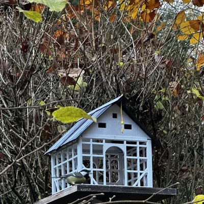 Nhà cho chim phong cách Fachwerk Schleswig-Holstein (Bird Feeder Half-Timber)