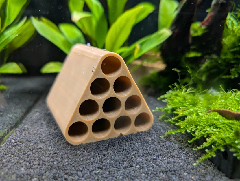 Hang Tôm (Shrimp Cave) - Image 2