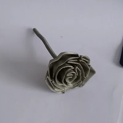 Bông Hồng Đơn Giản (Simple Rose)