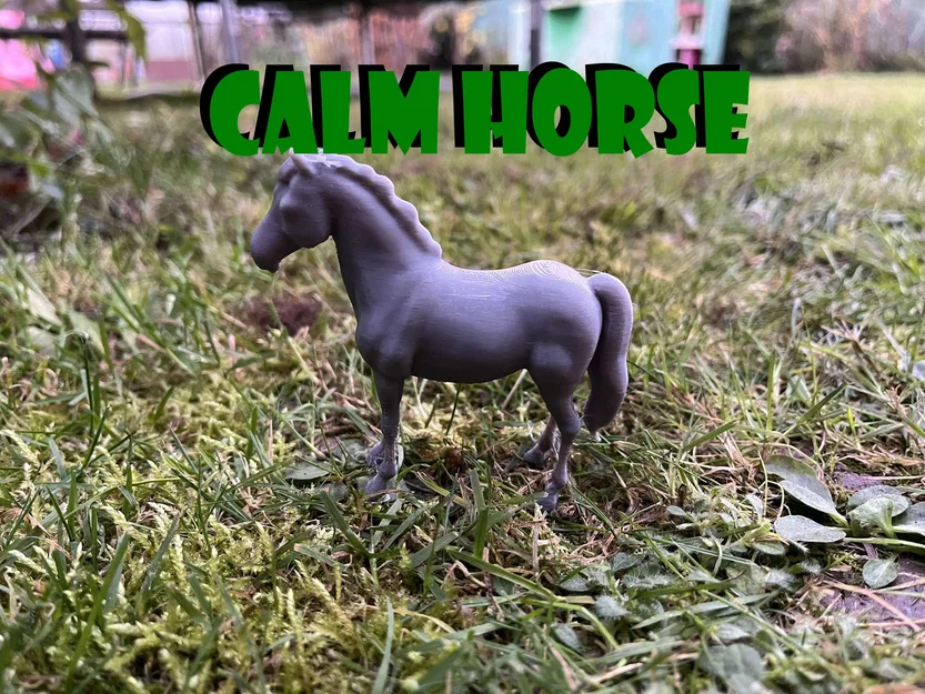 Klidný kůň (Ngựa hiền, bình yên) - Image 1