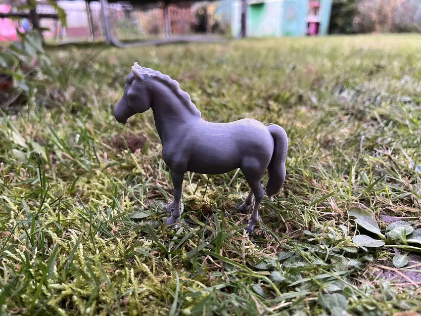 Klidný kůň (Ngựa hiền, bình yên) - Image 3