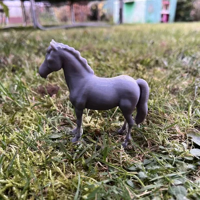 Klidný kůň (Ngựa hiền, bình yên)