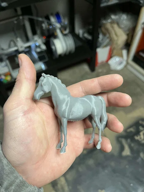 Klidný kůň (Ngựa hiền, bình yên) - Image 4