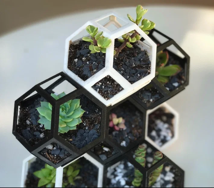 Mẫu Chậu Trồng Cây Đa Giác Lắp Ghép (Grupo de Macetas) Độc Đáo - Image 2
