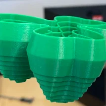 William's Clover - Telescopic Fidget (Cỏ bốn lá co rút)