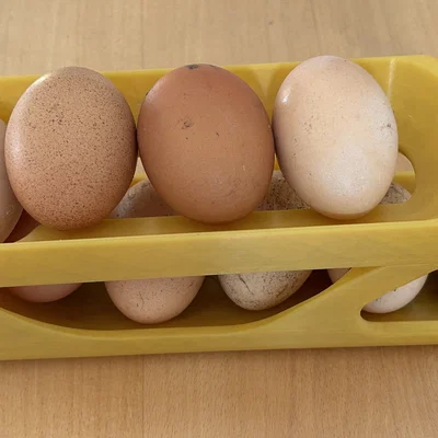 Khay đựng trứng thông minh tự động lấy trứng (Egg Dispenser)