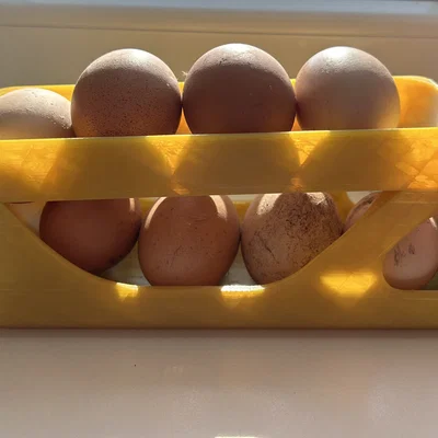 Khay đựng trứng thông minh tự động lấy trứng (Egg Dispenser)