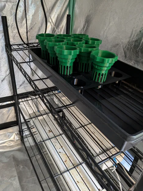 Khay ươm hạt cho grow cup của Hydroponic Tower - Image 4