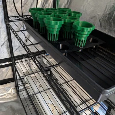 Khay ươm hạt cho grow cup của Hydroponic Tower