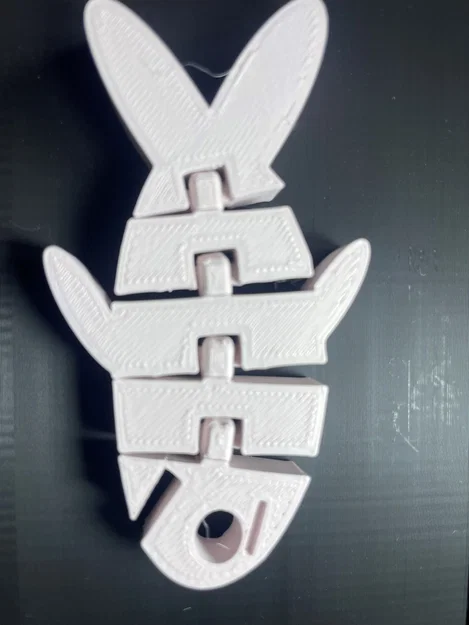 Flex fish – Cá khớp nối linh hoạt - Image 2