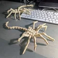 Semi-Posable Flexi Facehugger (Bản Có Khớp Tạo Dáng Một Phần) - Thumbnail 4