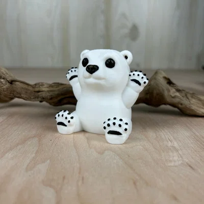 Gấu Bắc Cực Cũng Cần Được Ôm Nữa! (Polar Bears Need Hugs Too!)