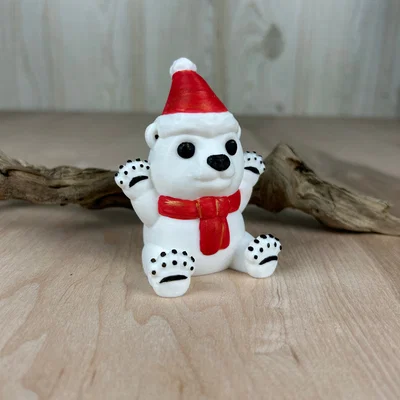 Gấu Bắc Cực Cũng Cần Được Ôm Nữa! (Polar Bears Need Hugs Too!)