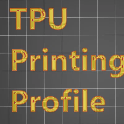 Thiết lập in Amazon Basics TPU tinh chỉnh kỹ