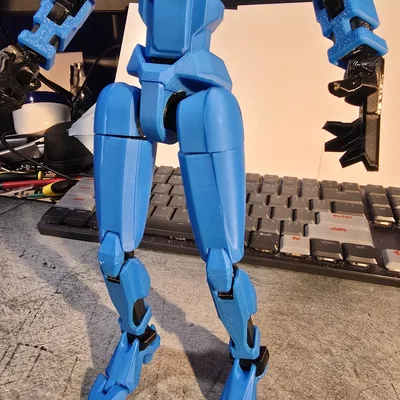 Dummy 13 đùi bo tròn nữ tính FIXED