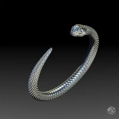 Rắn – Biểu tượng Tái Sinh