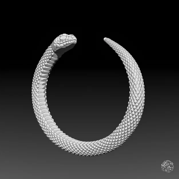 Rắn – Biểu tượng Tái Sinh - Image 11