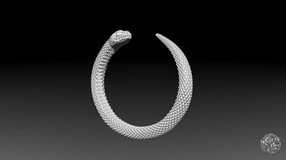 Rắn – Biểu tượng Tái Sinh - Image 19