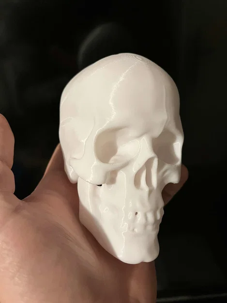 Lidská lebka (sọ người) – mẫu trang trí Halloween - Image 3