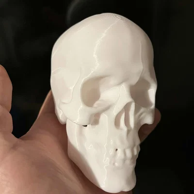 Lidská lebka (sọ người) – mẫu trang trí Halloween