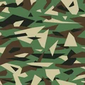 Khuôn mẫu sơn họa tiết rằn ri Shard Camo (Dùng cho sơn xịt) - Thumbnail 3