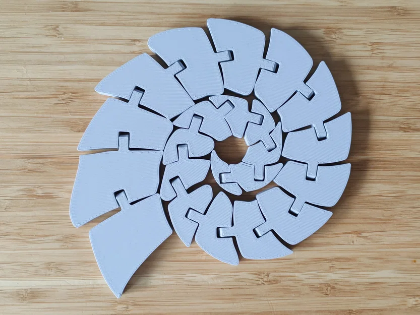 Ammonite Khớp Nối (Articulated Ammonite) - Image 1