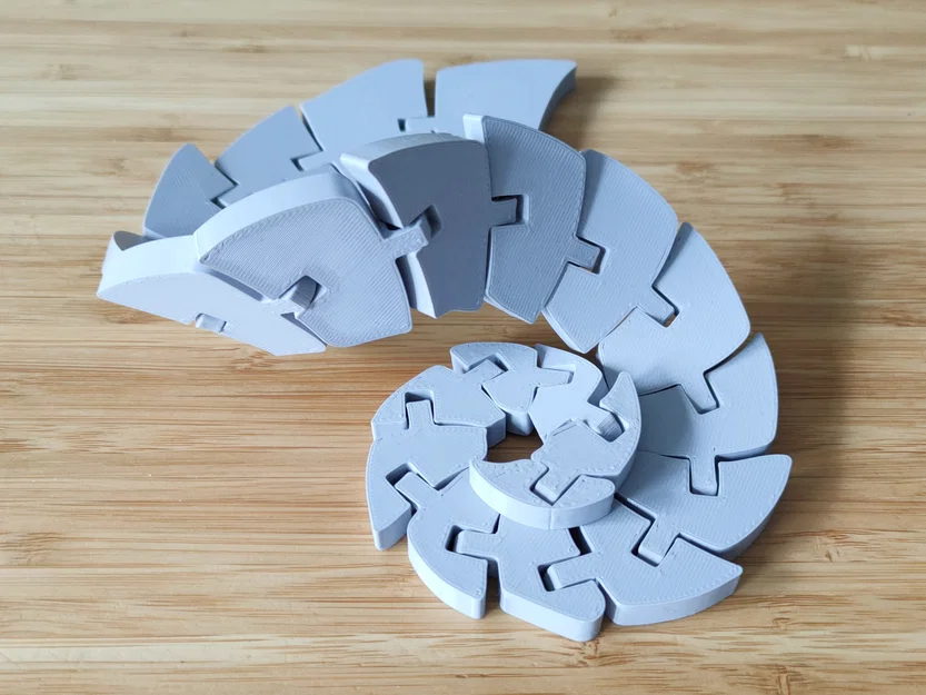 Ammonite Khớp Nối (Articulated Ammonite) - Image 2