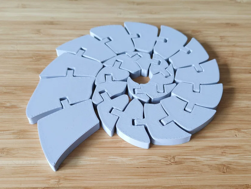 Ammonite Khớp Nối (Articulated Ammonite) - Image 3