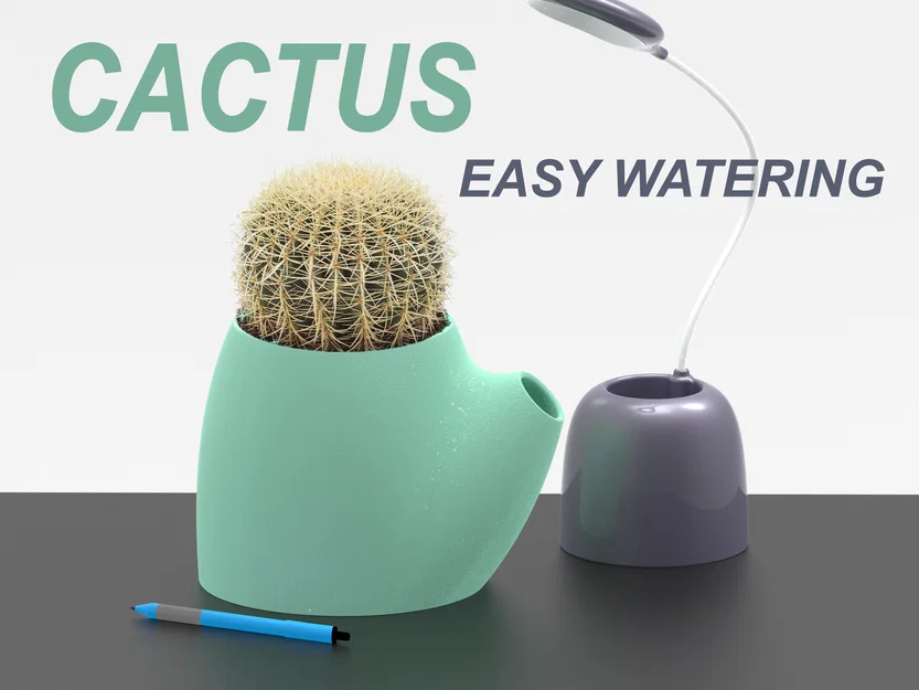 Chậu trồng xương rồng – chậu tưới nước dễ dàng (Easy Watering flowerpot) - Image 1