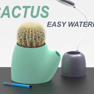 Chậu trồng xương rồng – chậu tưới nước dễ dàng (Easy Watering flowerpot)