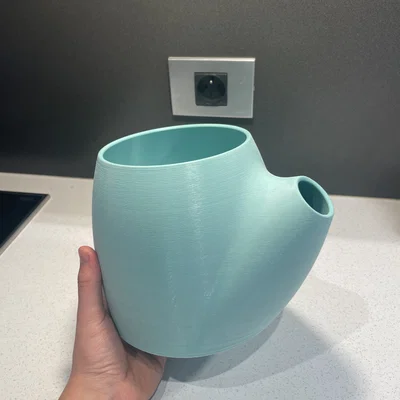 Chậu trồng xương rồng – chậu tưới nước dễ dàng (Easy Watering flowerpot)