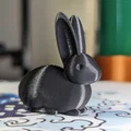 Ender 3 Pro Oldham Coupler - Thumbnail 3