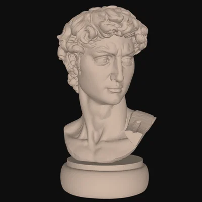 Tượng Bán Thân David của Michelangelo