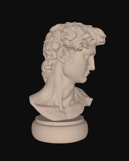 Tượng Bán Thân David của Michelangelo - Image 3