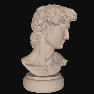 Tượng Bán Thân David của Michelangelo