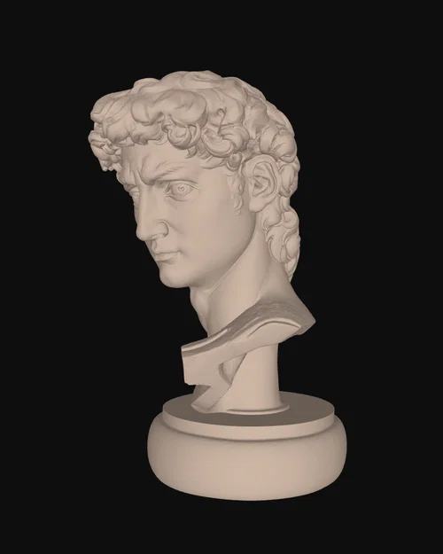 Tượng Bán Thân David của Michelangelo - Image 4