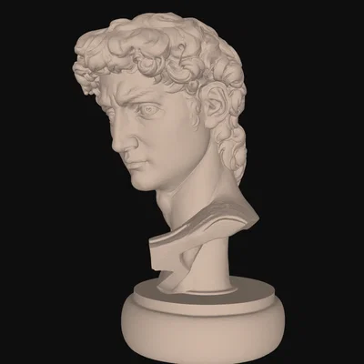 Tượng Bán Thân David của Michelangelo