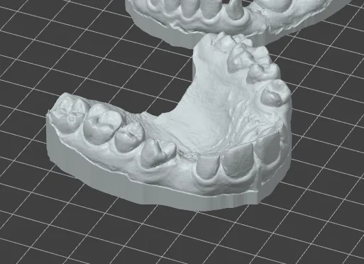 Mô hình hàm răng 3D chi tiết cho đào tạo và học tập nha khoa - Image 2