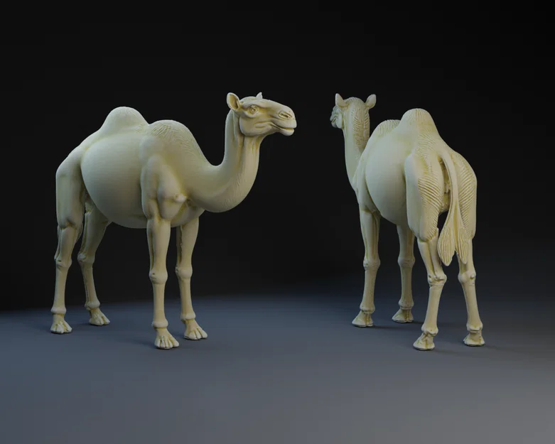 Mô hình lạc đà trang trí tiểu cảnh Giáng sinh (Nativity Camel) in 3D - Image 1