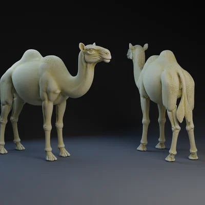 Mô hình lạc đà trang trí tiểu cảnh Giáng sinh (Nativity Camel) in 3D