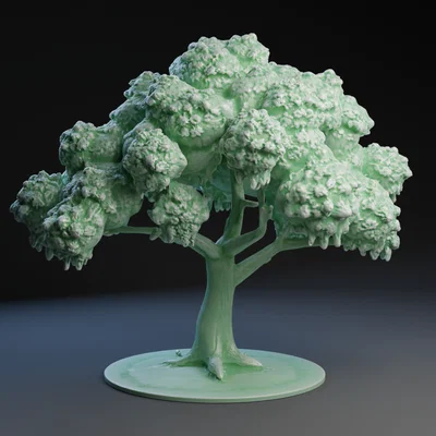 Nativity Fig Tree – Cây Sung Bộ Hang Đá