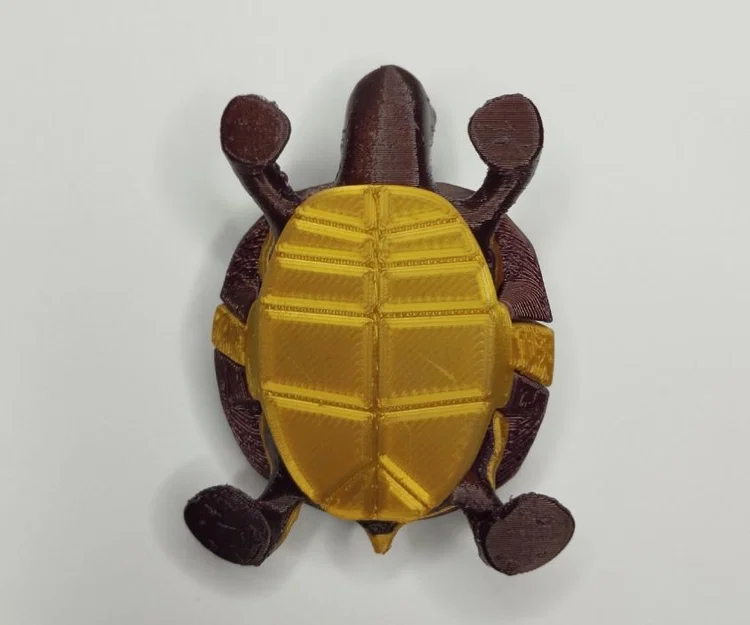 Mô hình chú rùa 3D phối hai màu cực xinh xắn - Image 3