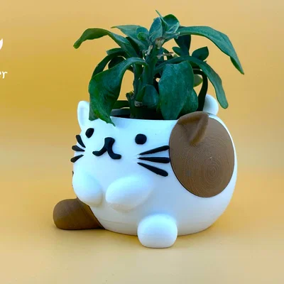 Chậu cây mèo dễ thương (Cute Cat Planter)