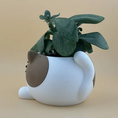 Chậu cây mèo dễ thương (Cute Cat Planter)